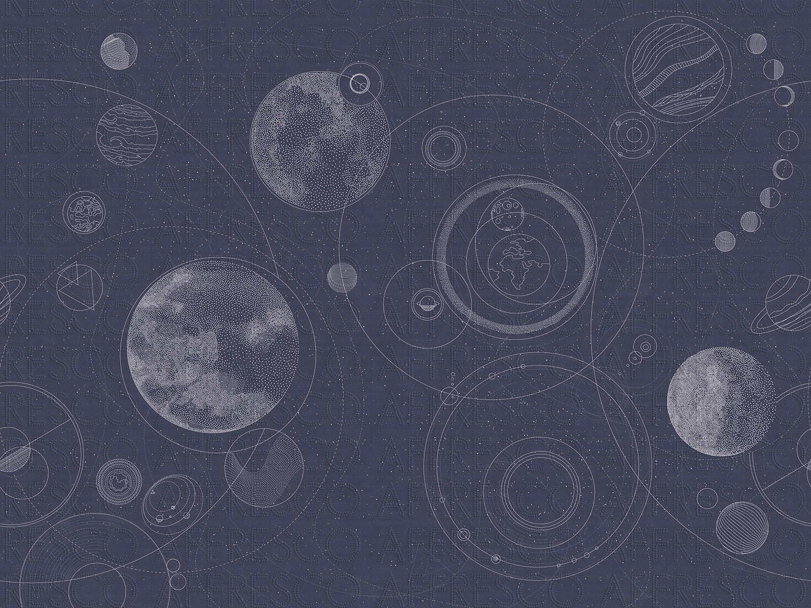 AF2144-COL5 | Line Art | Affresco Factory