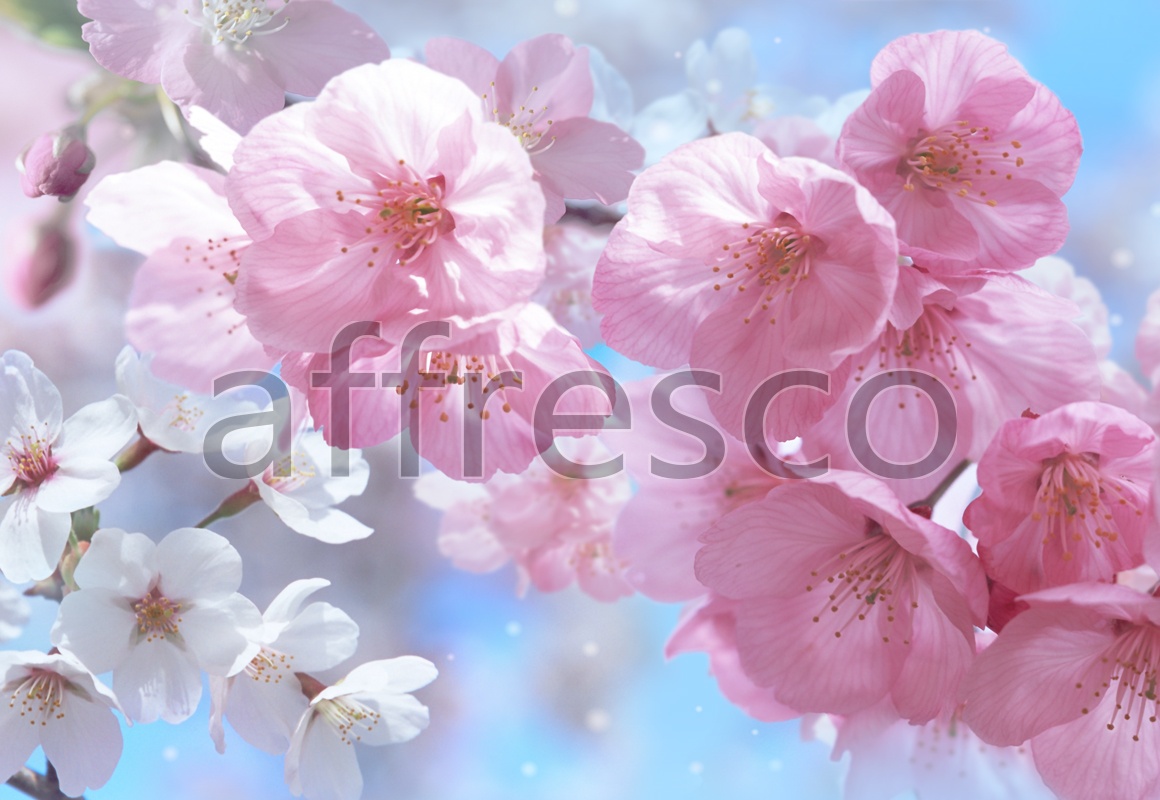 7123 | Flowers | Spring flowers | Affresco Factory