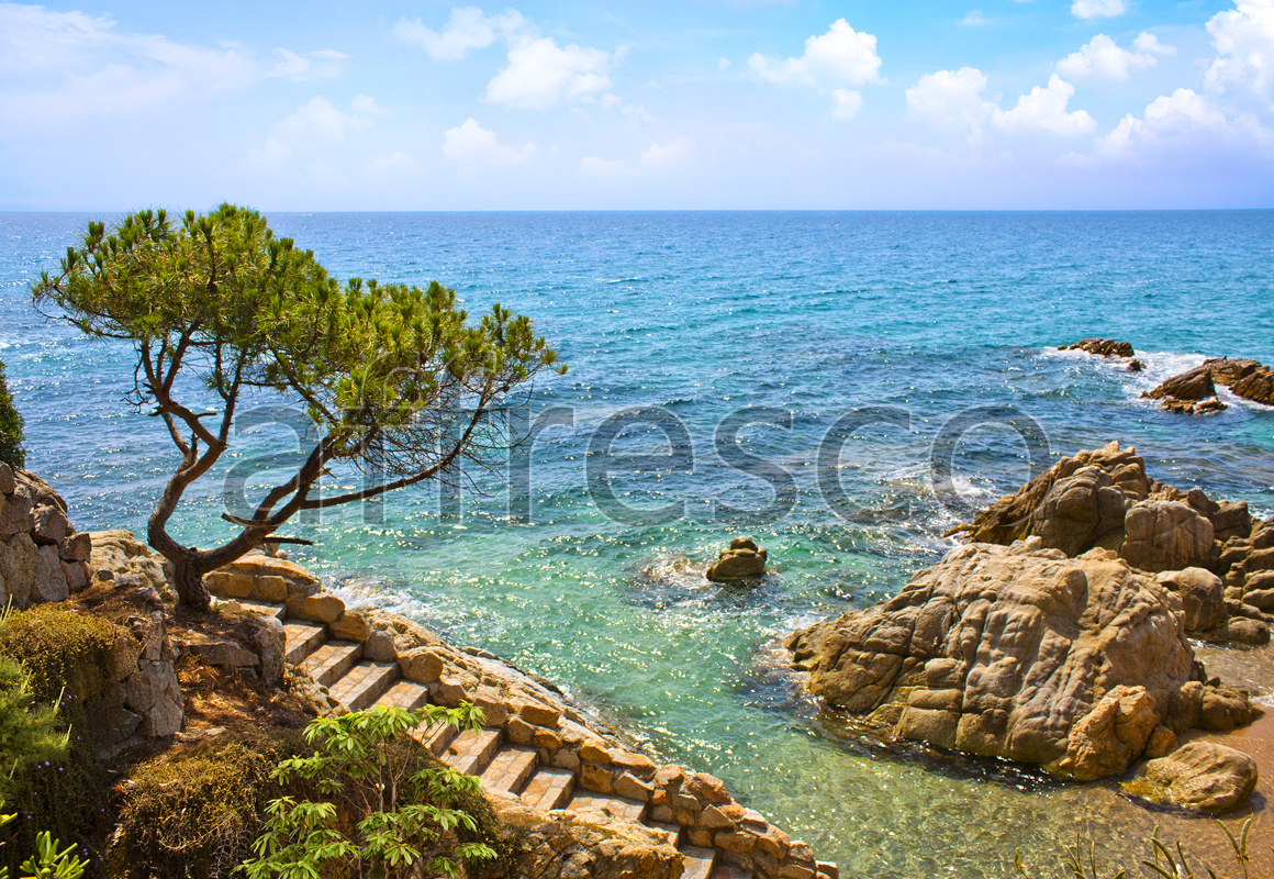 ID12050 | Pictures of Nature  | Sea smooth | Affresco Factory