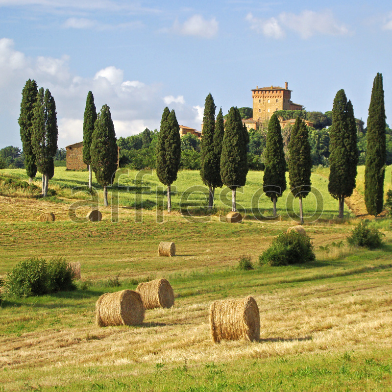 ID10587 | Pictures of Nature  | Haystacks | Affresco Factory