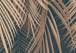 The project «Bedroom with a tropical accent», program «Fazenda», TV channel MIR The project «Bedroom with a tropical accent», program «Fazenda», TV channel MIR