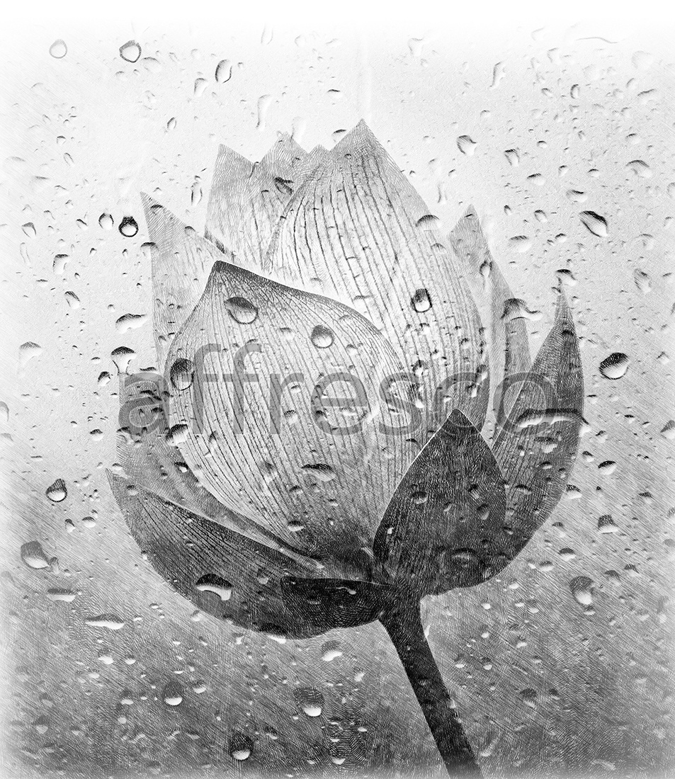ID136156 | Flowers |  | Affresco Factory