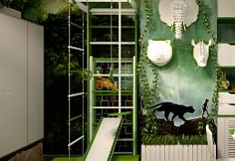 The "Mowgli» Disney Channel program, "This is my room" The "Mowgli» Disney Channel program, "This is my room"