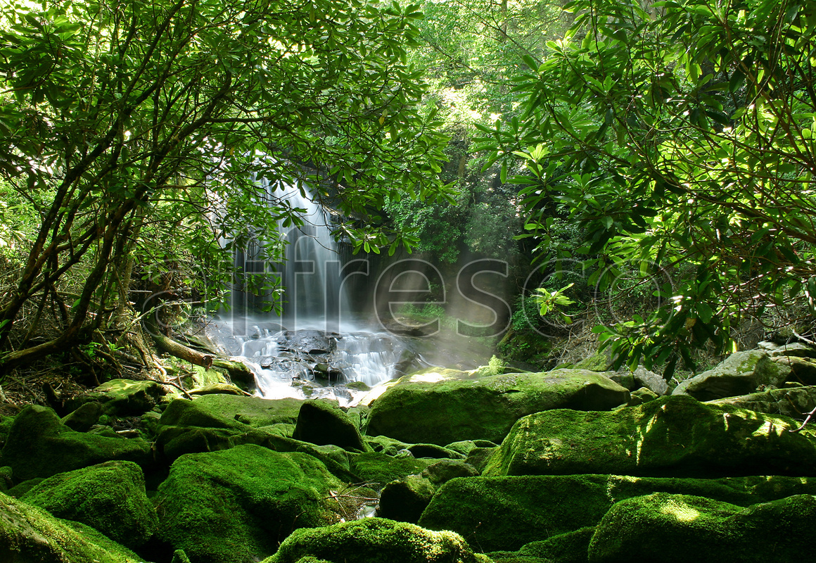 ID10419 | Pictures of Nature  | Stones with waterfall | Affresco Factory