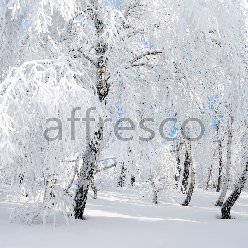 ID13521 | Pictures of Nature  | Snow-covered trees | Affresco Factory