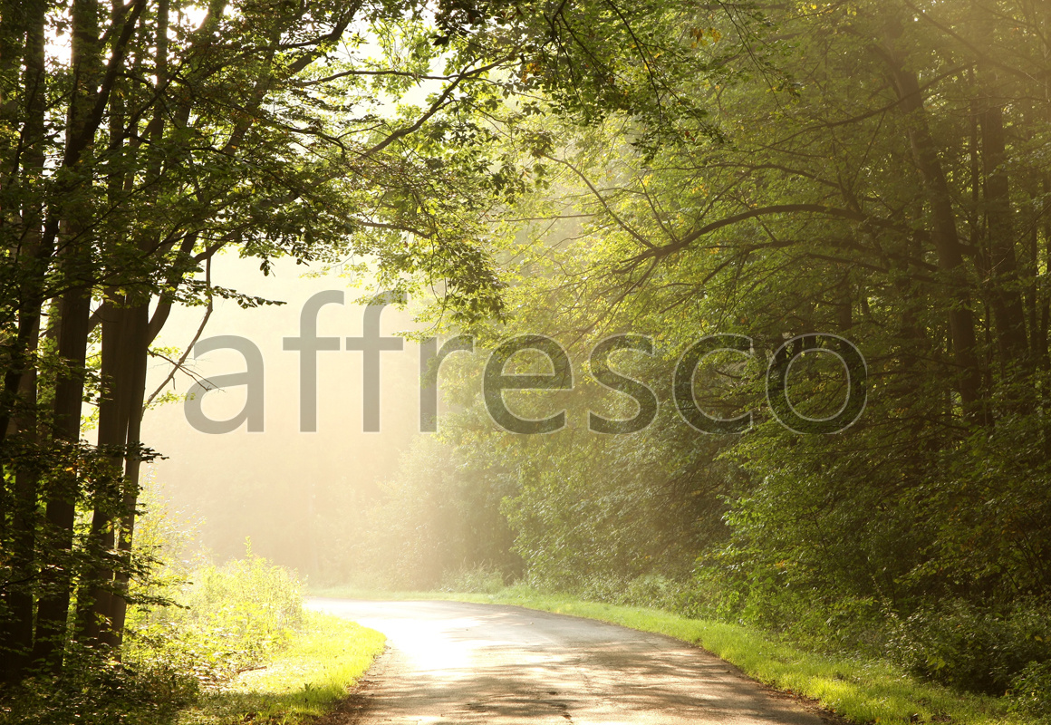 ID12180 | Pictures of Nature  | Forest road | Affresco Factory