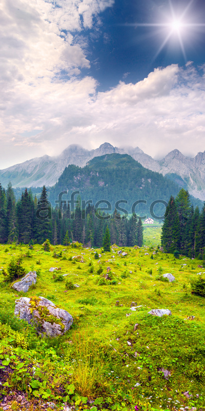 ID13462 | Pictures of Nature  | Meadow at the mountains | Affresco Factory