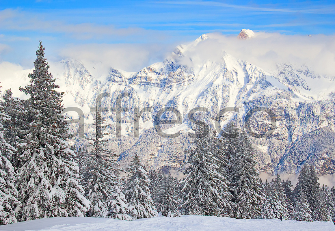 ID13534 | Pictures of Nature  | Winter scenery | Affresco Factory