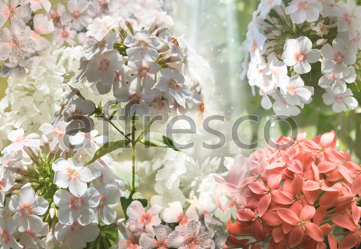 7122 | Flowers | phlox | Affresco Factory