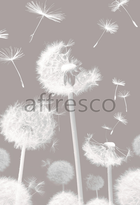 7235 | Flowers | dandelion at the wind | Affresco Factory