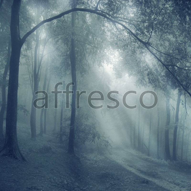 ID10887 | Pictures of Nature  | Sunbeam in forest | Affresco Factory