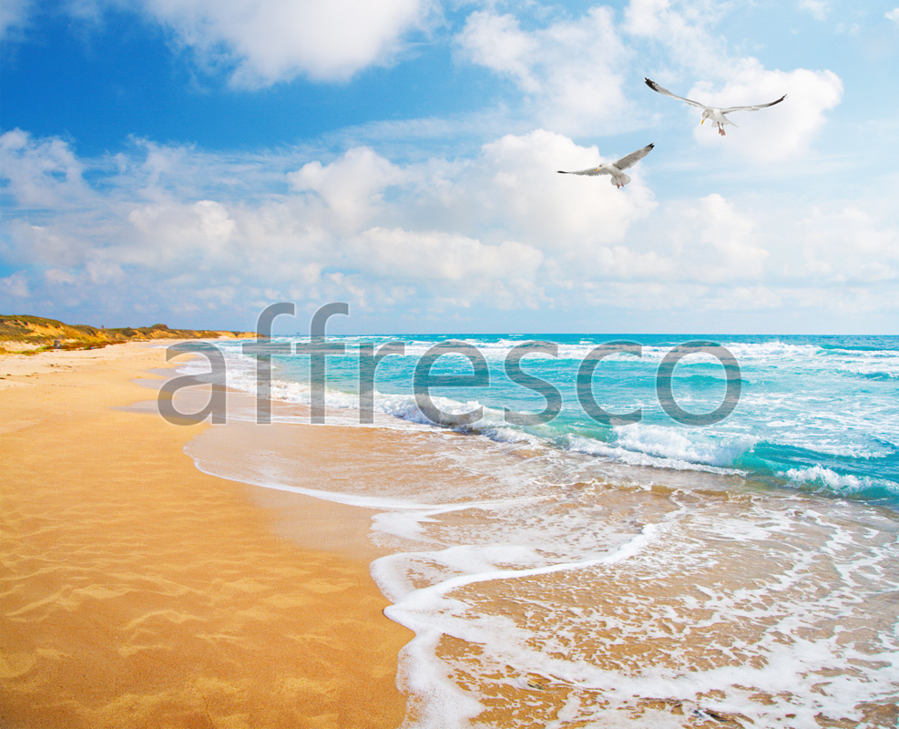 ID11048 | Pictures of Nature  | Sea foam | Affresco Factory