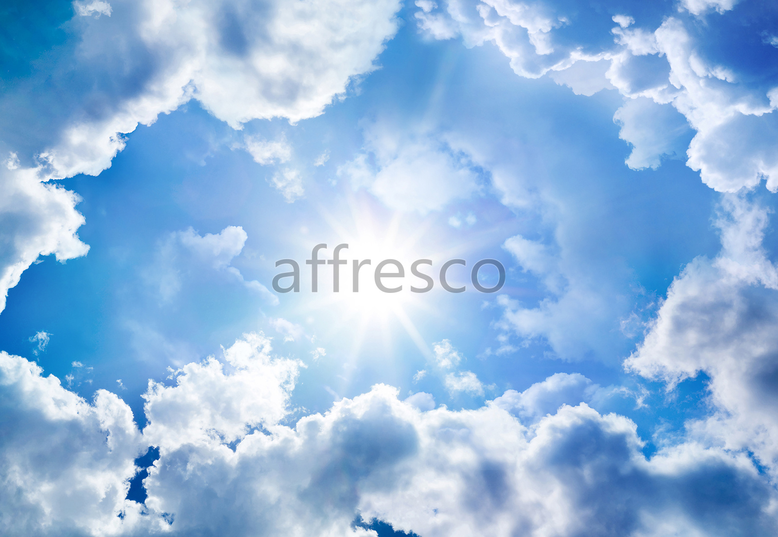 ID136534 | Sky |  | Affresco Factory