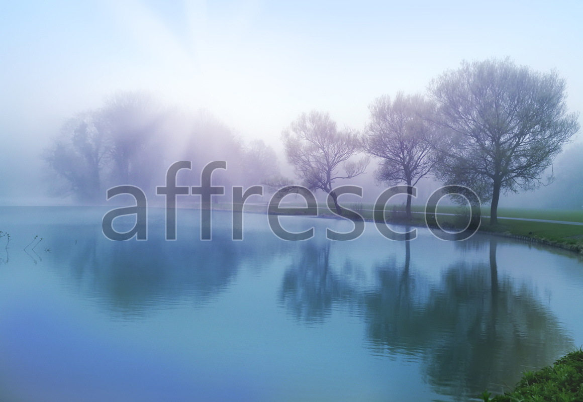 ID12476 | Pictures of Nature  | Reflected trees | Affresco Factory