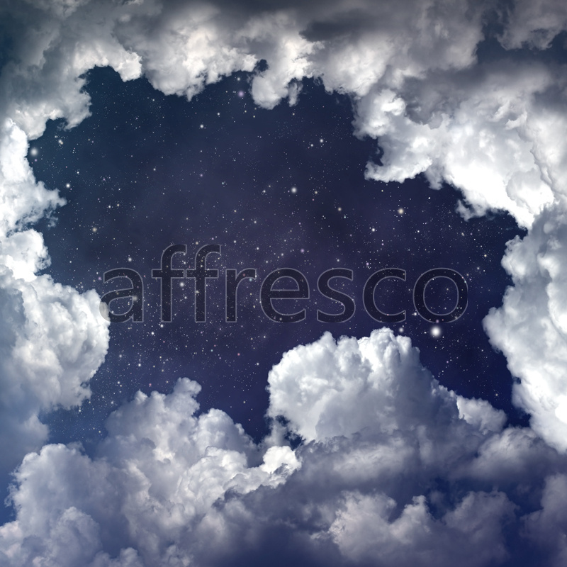 ID13158 | Sky | Starry sky | Affresco Factory