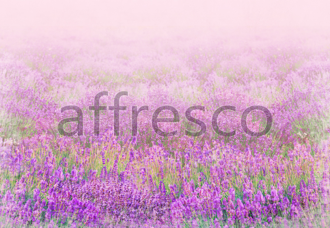 9716 | Pictures of Nature  | Violet flowers | Affresco Factory