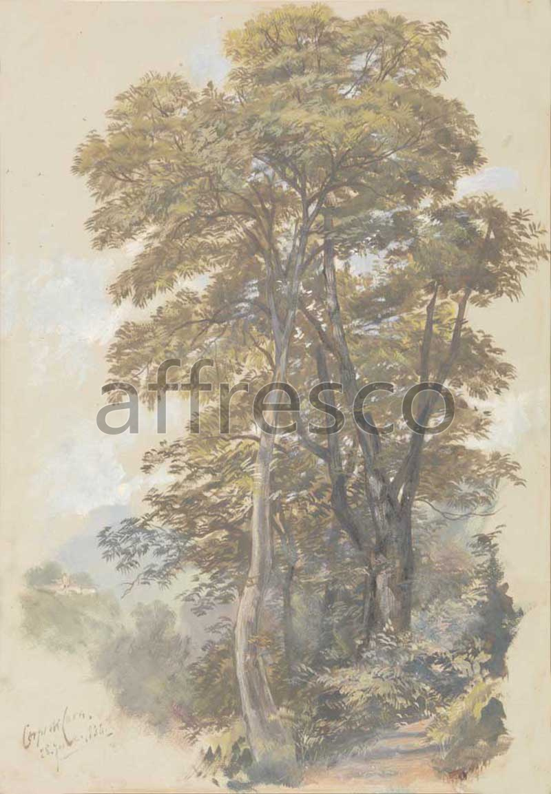 Classic landscapes | Edward Lear Corpo di Cava | Affresco Factory