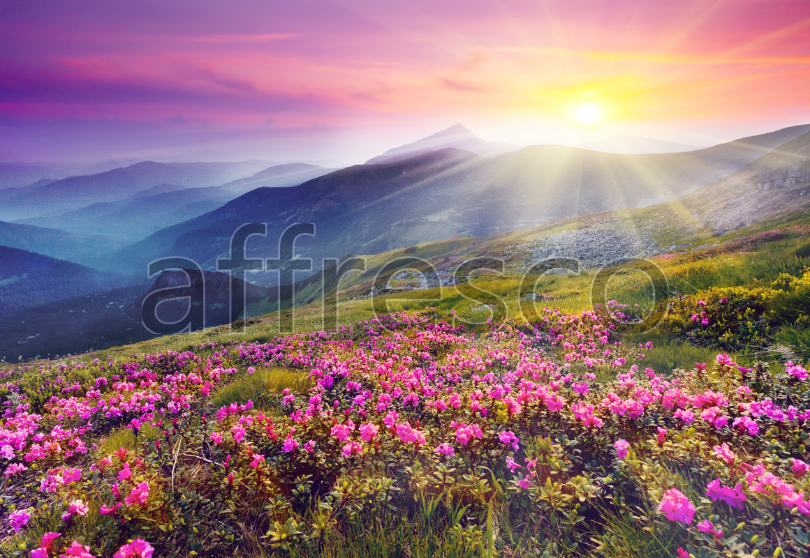ID12028 | Pictures of Nature  | Blossoming mountain valley | Affresco Factory