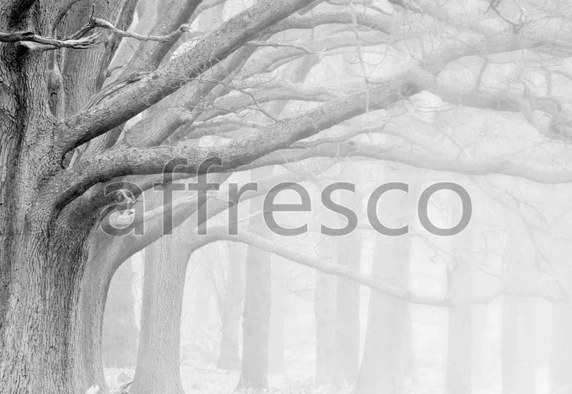 ID12421 | Pictures of Nature  | Tree branches | Affresco Factory