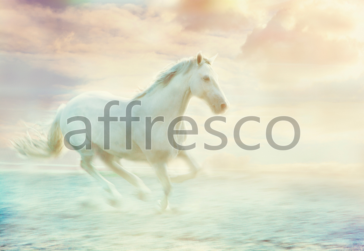 ID10781 | Animals | Белая лошадь | Affresco Factory