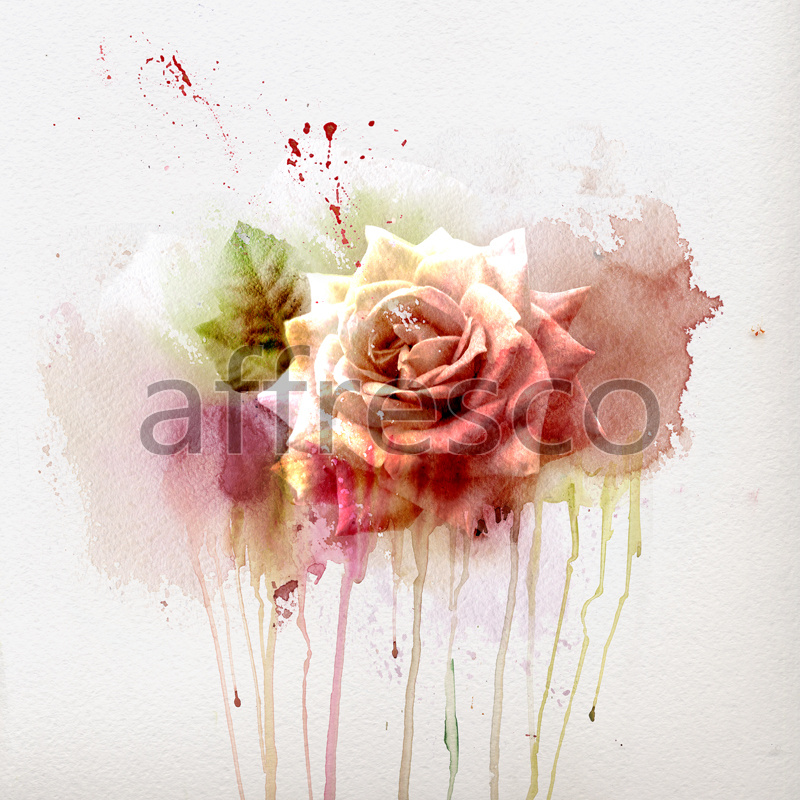 ID12801 | Flowers | aquarelle roses | Affresco Factory