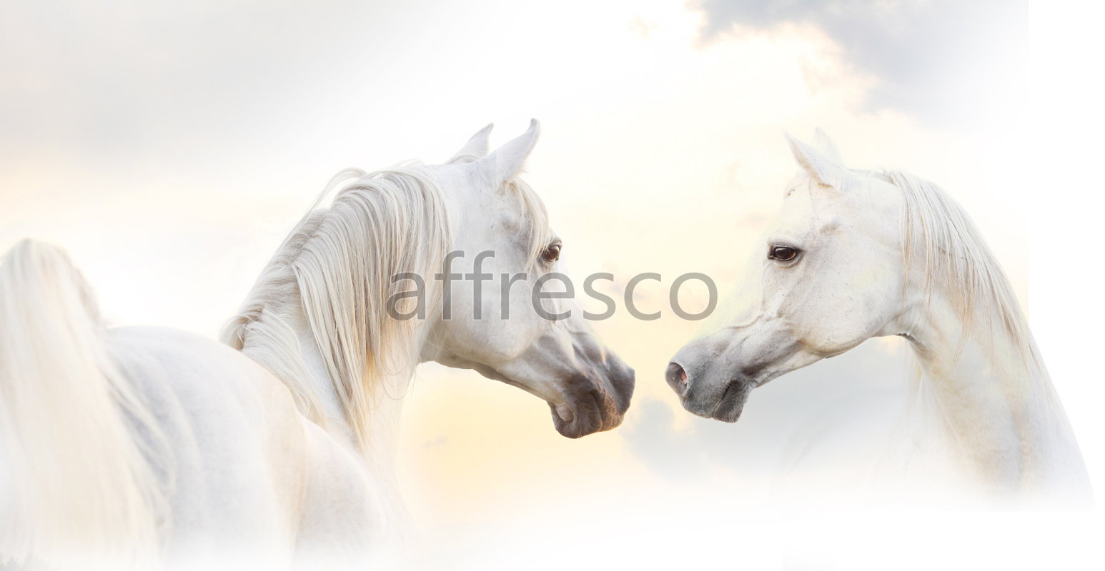 ID12321 | Animals | Лошадиная любовь | Affresco Factory