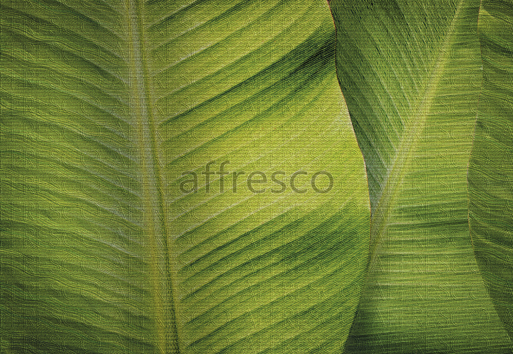 ID136392 | Nature |  | Affresco Factory