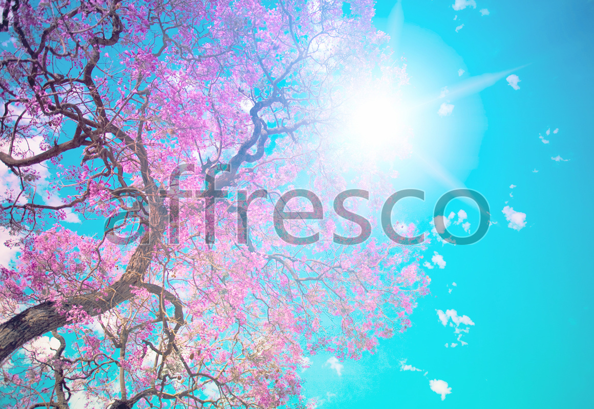 ID13496 | Sky | Blossoming tree in sunlight | Affresco Factory