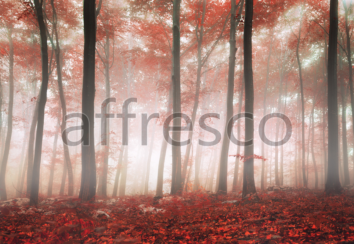 ID13480 | Pictures of Nature  | Fog in the woods | Affresco Factory