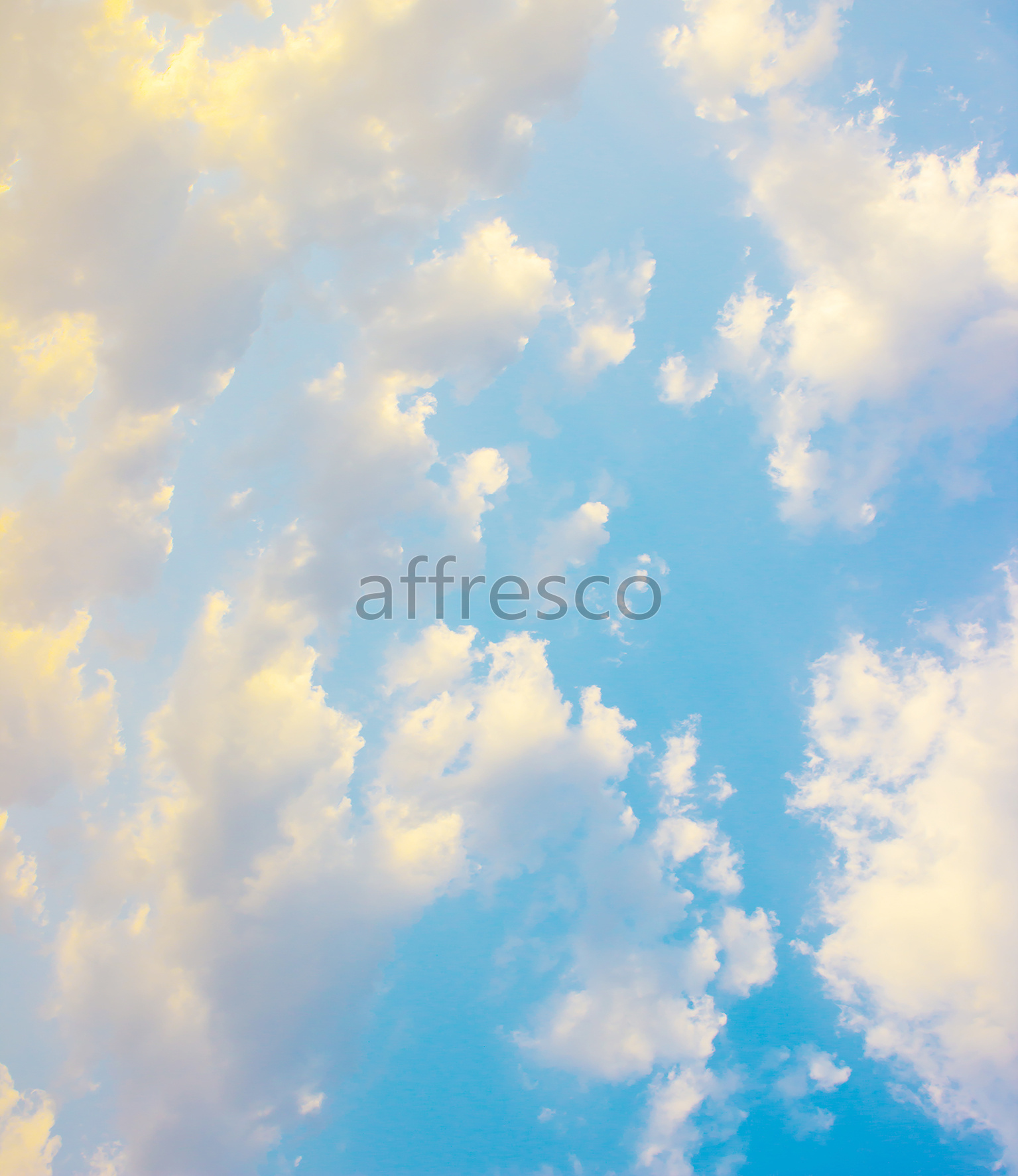 ID136536 | Sky |  | Affresco Factory