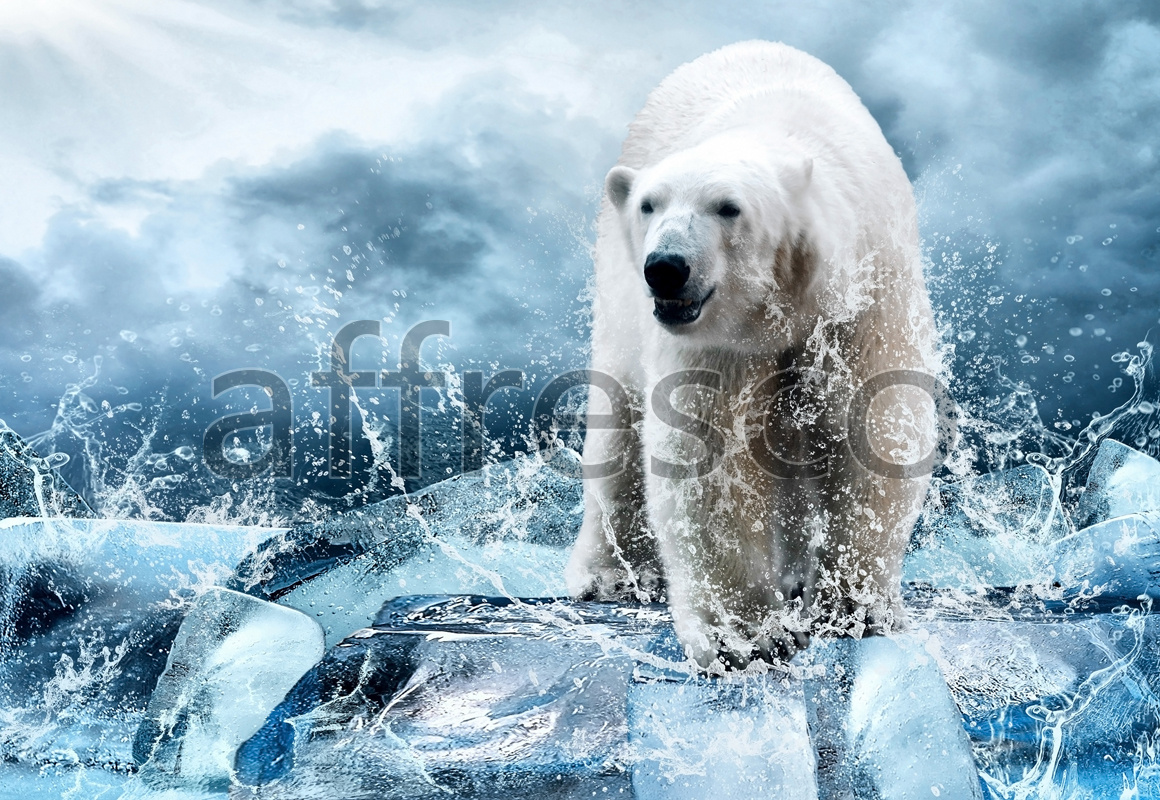 ID13537 | Pictures of Nature  | Polar bear | Affresco Factory