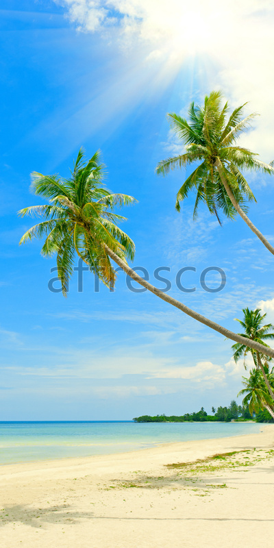 ID12885 | The best landscapes | Palm-trees by the water | Affresco Factory